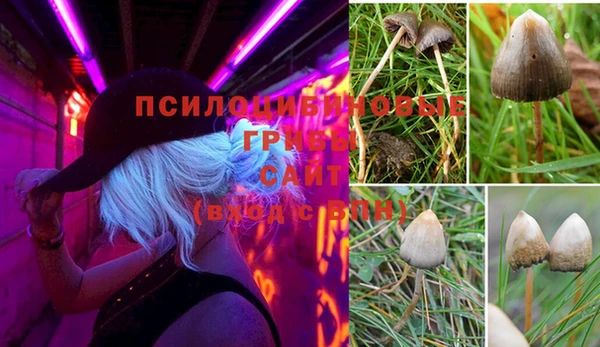 ECSTASY Абинск