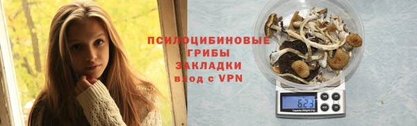 дмт Няндома