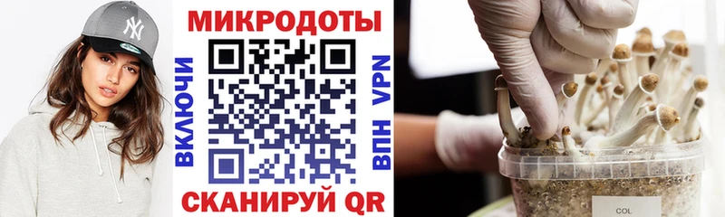 как найти закладки  Хабаровск  Галлюциногенные грибы Cubensis 