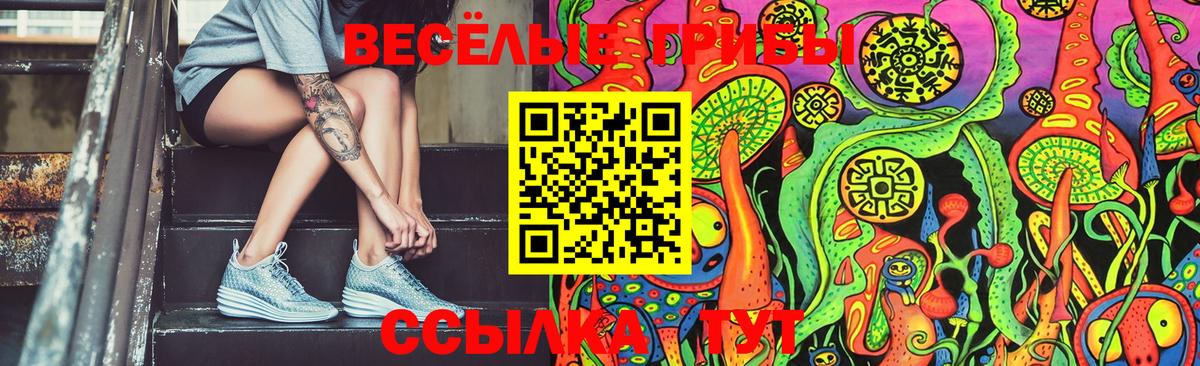 Псилоцибиновые грибы MAGIC MUSHROOMS  Вход с VPN  Хабаровск 
