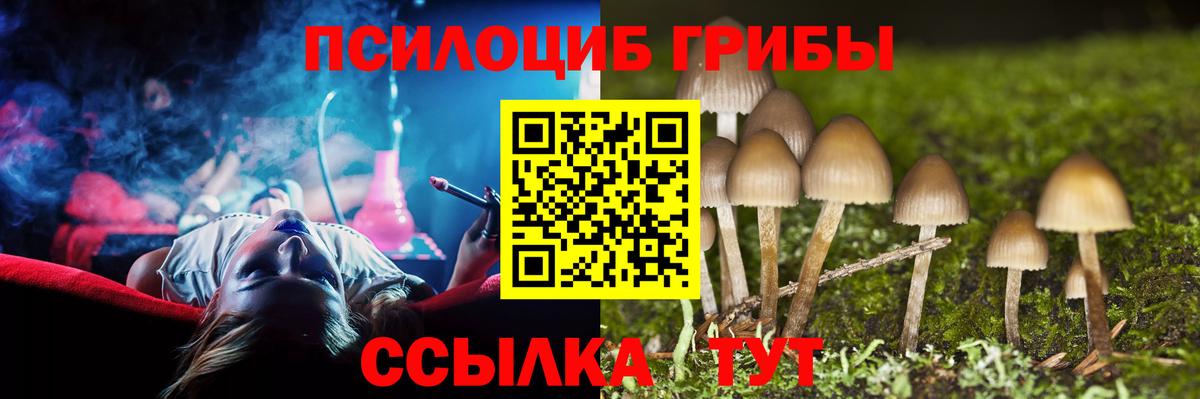 Галлюциногенные грибы GOLDEN TEACHER Хабаровск